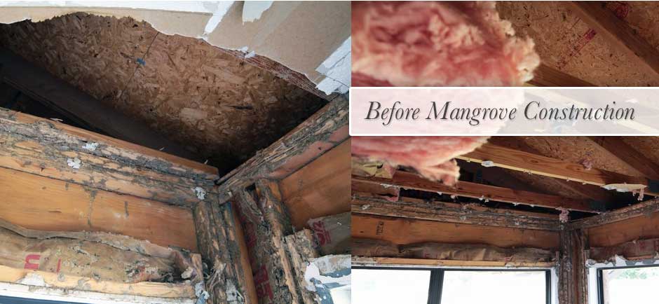 before-termite-damage-construction21